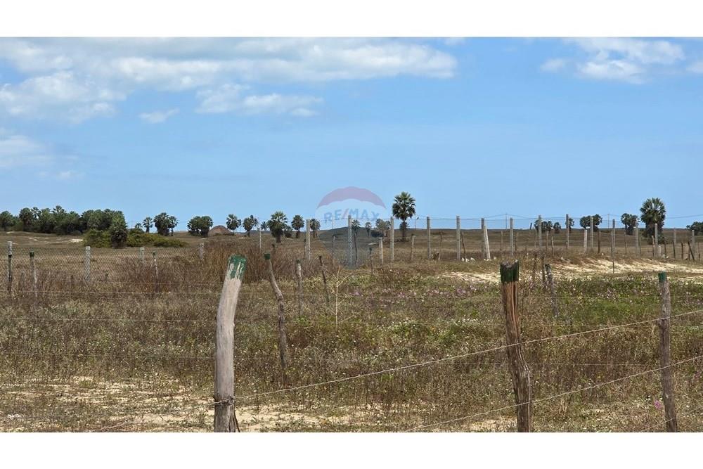 Terreno - Venda - Cruz , Ceará - 20250817_105613.jpg - 722341001-75