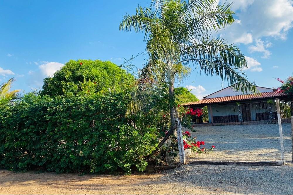 Chácara / Sítio / Fazenda - Venda - Parauapebas , Pará - IMG-20250908-WA0142.jpg - 722021013-13