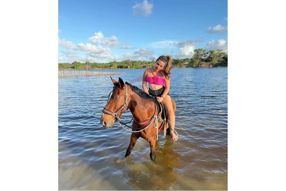 Outros - Venda - São José de Mipibu , Rio Grande do Norte - WhatsApp Image 2024-12-19 at 11.36.48 (1).jpeg - 720811013-62