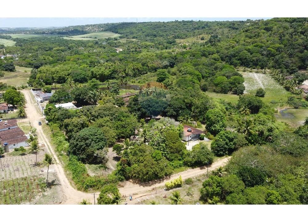 Chácara / Sítio / Fazenda - Venda - Conde , Paraíba - DJI_0262.JPG - 720871004-216