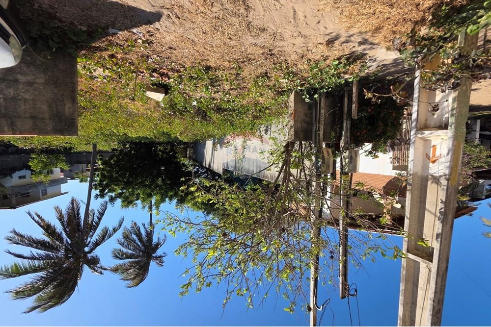 Terreno - Venda - Trairi , Ceará - 1000193106.jpg - 722341001-100