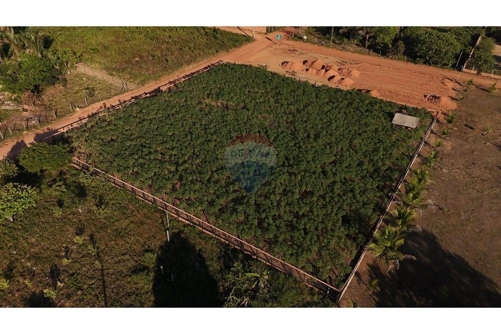 Chácara / Sítio / Fazenda - Venda - Porto Velho , Rondônia - ciro 22.jpg - 721551019-230