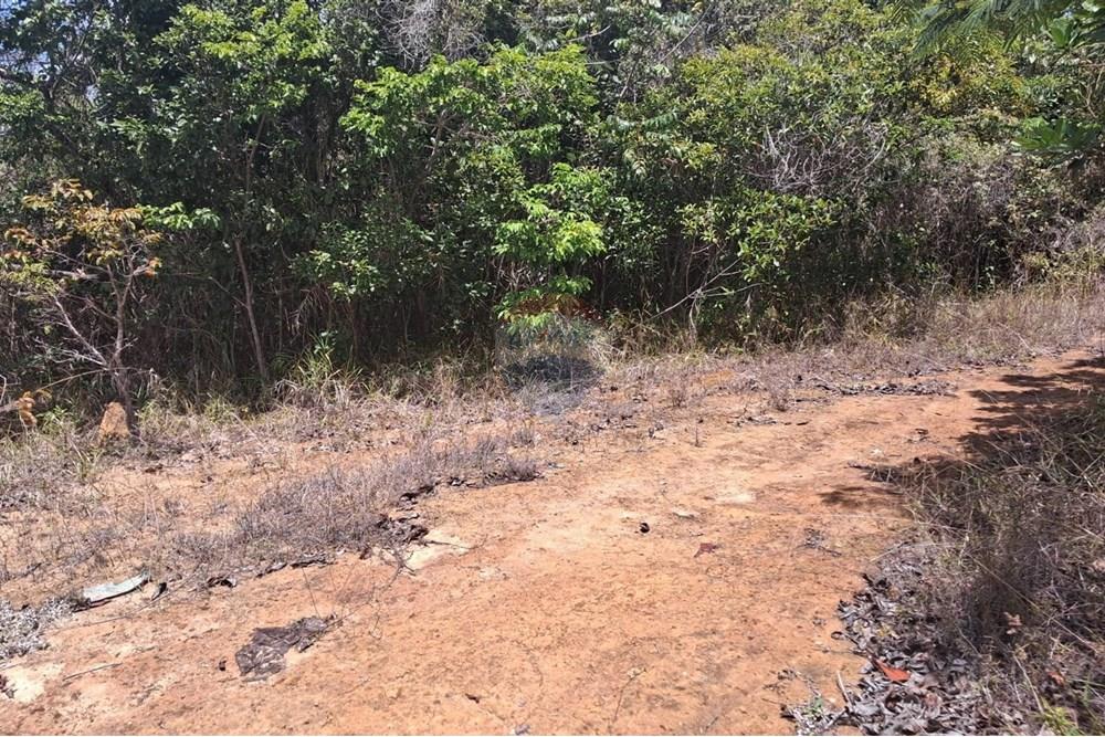 Terreno - Venda - Conde , Paraíba - 03aca62a-3244-4448-9683-4f253147a61f.jpeg - 720871044-33