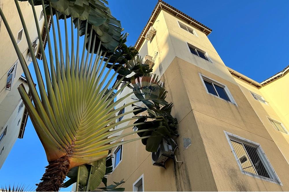 Apartamento - Alugar - Fortaleza , Ceará - IMG_1905.JPG - 721621165-35