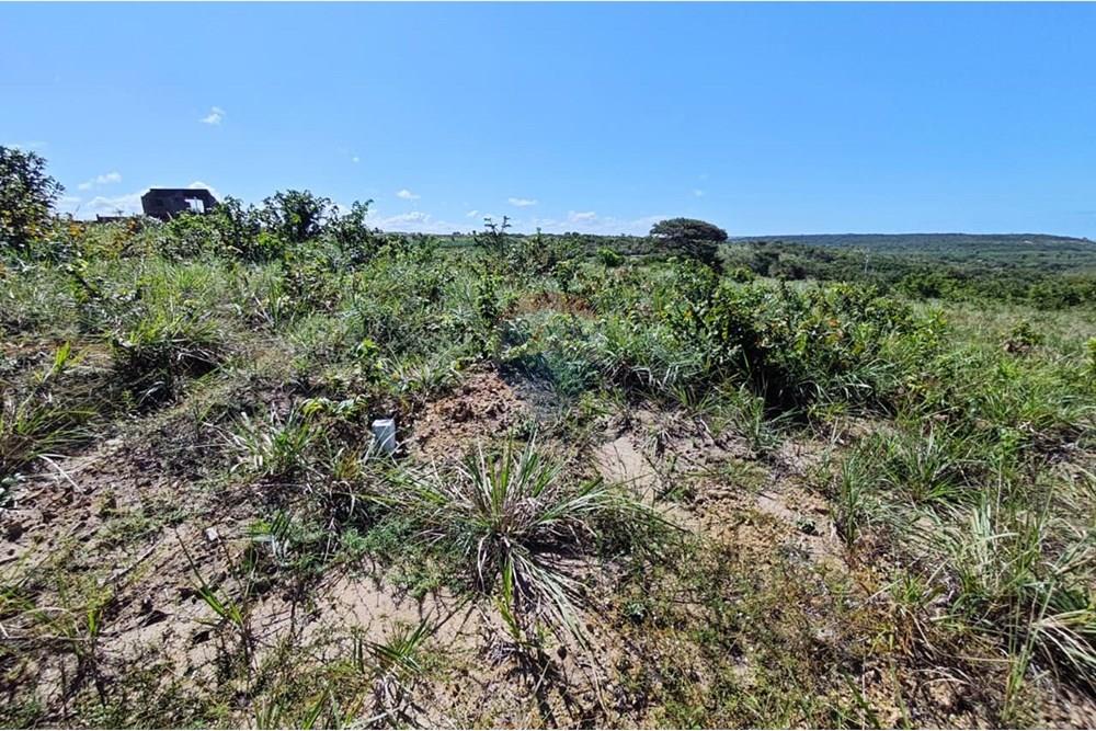 Terreno - Venda - Pitimbu , Paraíba - WhatsApp Image 2025-08-28 at 18.48.44 (1).jpeg - 720871009-188