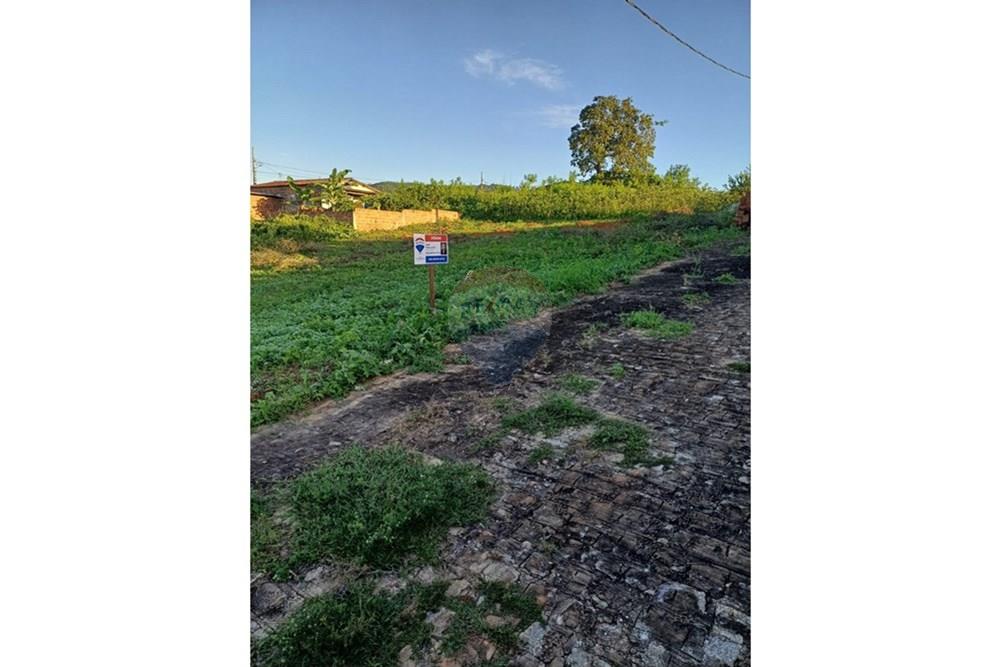 Terreno - Venda - Pirpirituba , Paraíba - WhatsApp Image 2025-06-19 at 11.47.49 (1).jpeg - 720551007-20