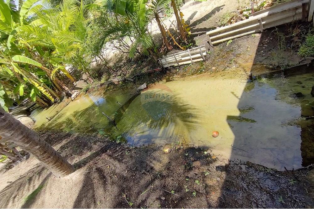 Chácara / Sítio / Fazenda - Venda - Nísia Floresta , Rio Grande do Norte - WhatsApp Image 2025-06-05 at 15.29.02(2).jpeg - 720731020-103