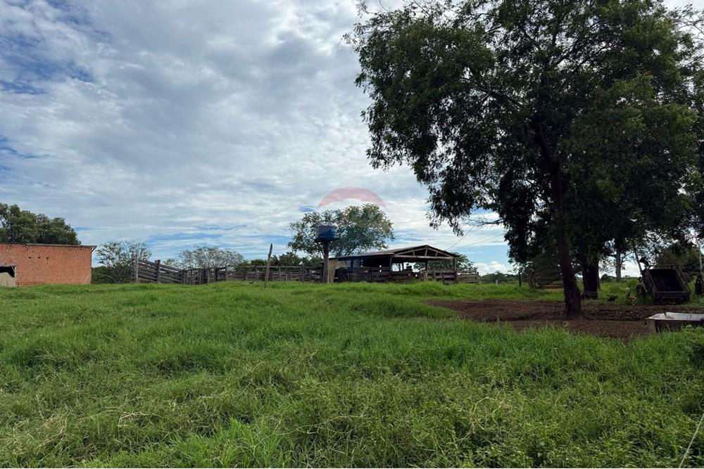 Chácara / Sítio / Fazenda - Venda - São José do Povo , Mato Grosso - IMG-20250407-WA0084.jpg - 720851027-112