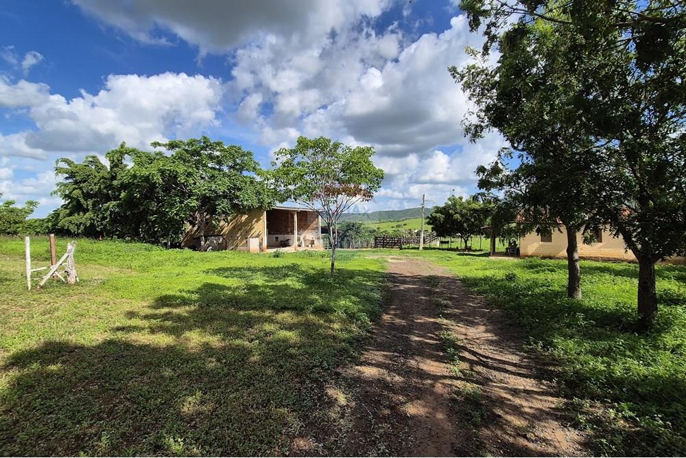 Chácara / Sítio / Fazenda - Venda - Riachão do Bacamarte , Paraíba - 20250215_144725.jpg - 722011055-39