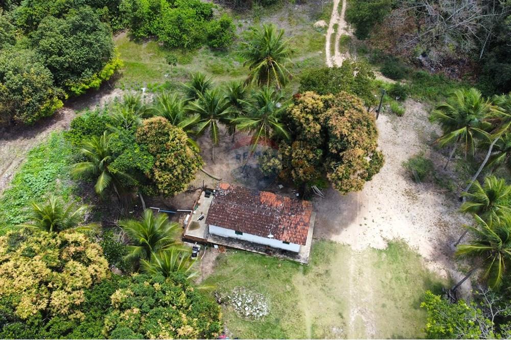 Chácara / Sítio / Fazenda - Venda - Conde , Paraíba - dji_fly_20240921_110350_249_1727098124893_photo_optimized.jpg - 722011055-34