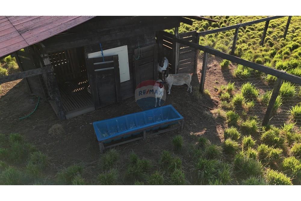 Chácara / Sítio / Fazenda - Venda - Porto Velho , Rondônia - ciro 17.jpg - 721551019-230