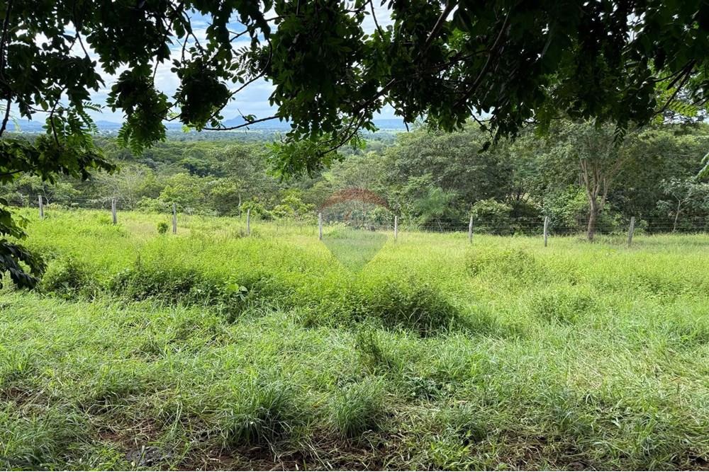 Chácara / Sítio / Fazenda - Venda - São José do Povo , Mato Grosso - IMG-20250407-WA0072.jpg - 720851027-112