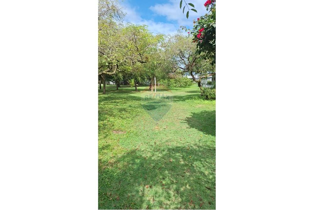 Chácara / Sítio / Fazenda - Venda - Nísia Floresta , Rio Grande do Norte - Imagem do WhatsApp de 2025-10-07 à(s) 09.23.46_c05e3213.jpg - 720891106-52