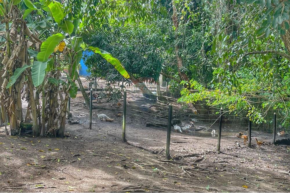 Terreno - Venda - Conde , Paraíba - WhatsApp Image 2024-07-24 at 14.36.00.jpeg - 720871004-166