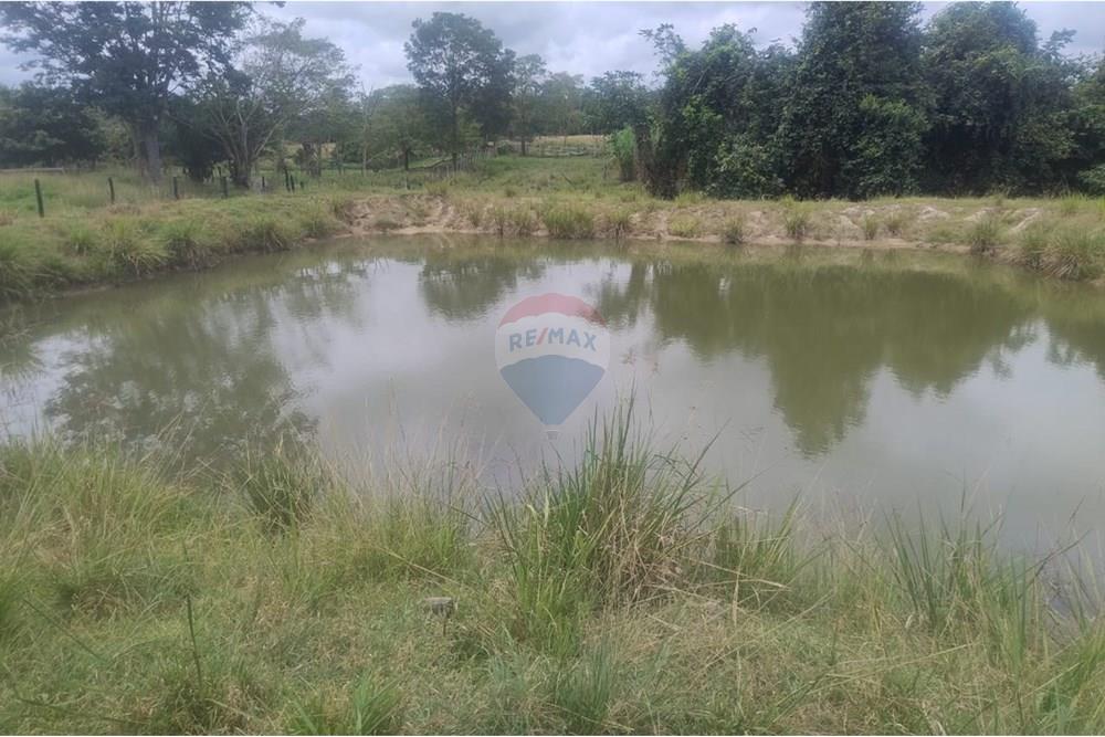 Chácara / Sítio / Fazenda - Venda - Confresa , Mato Grosso - IMG-20250926-WA0044.jpg - 720641046-10