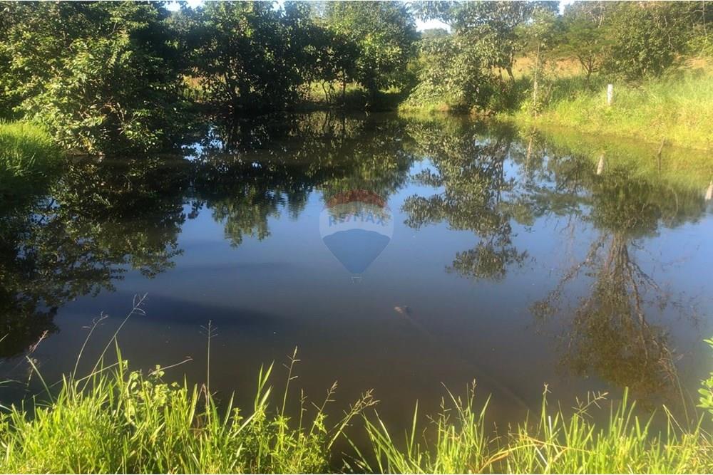 Fazenda - Venda - Guiratinga , Mato Grosso - IMG-20250812-WA0119.jpg - 721981068-2