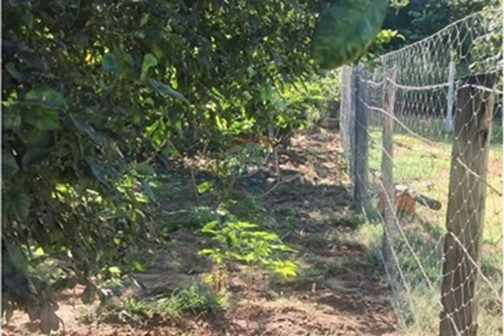 Chácara / Sítio / Fazenda - Venda - Rondonópolis , Mato Grosso - Imagem do WhatsApp de 2025-08-25 à(s) 16.49.23_55e61679.jpg - 722261004-17