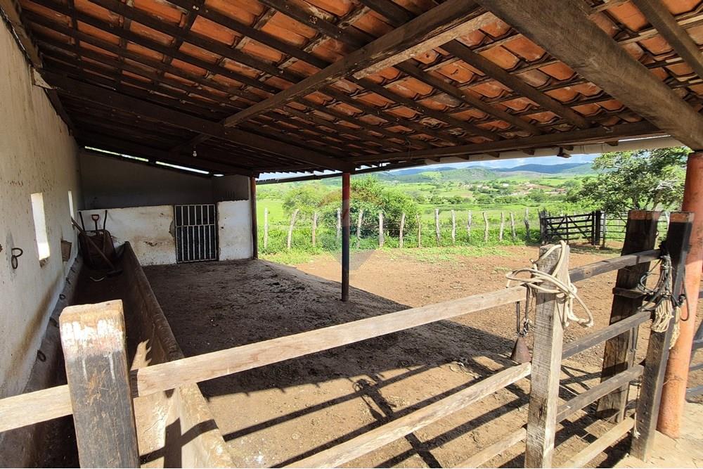 Chácara / Sítio / Fazenda - Venda - Riachão do Bacamarte , Paraíba - 20250215_144853.jpg - 722011055-39