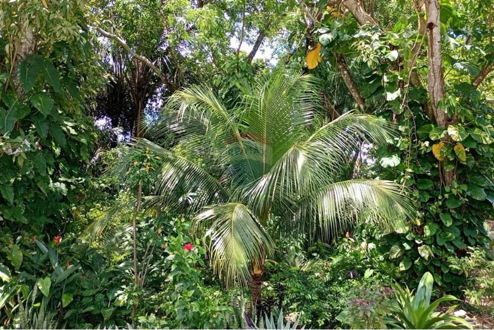 Kitnet - Venda - Manaus , Amazonas - Design sem nome.jpg - 720661012-19