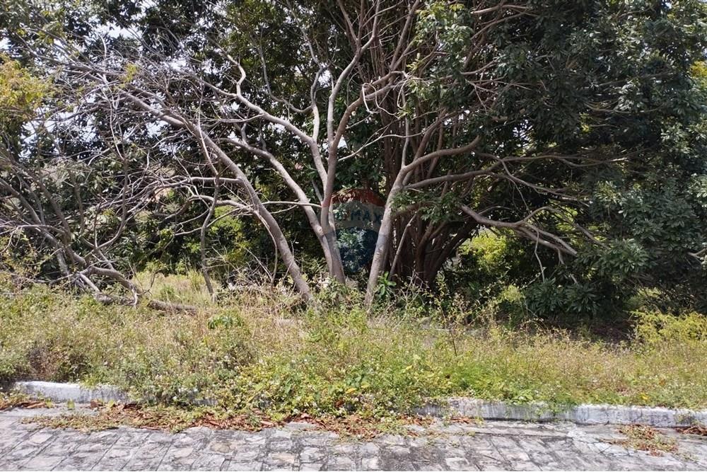 Terreno - Venda - Conde , Paraíba - mar de tabatinga 28.jpg - 720871057-5