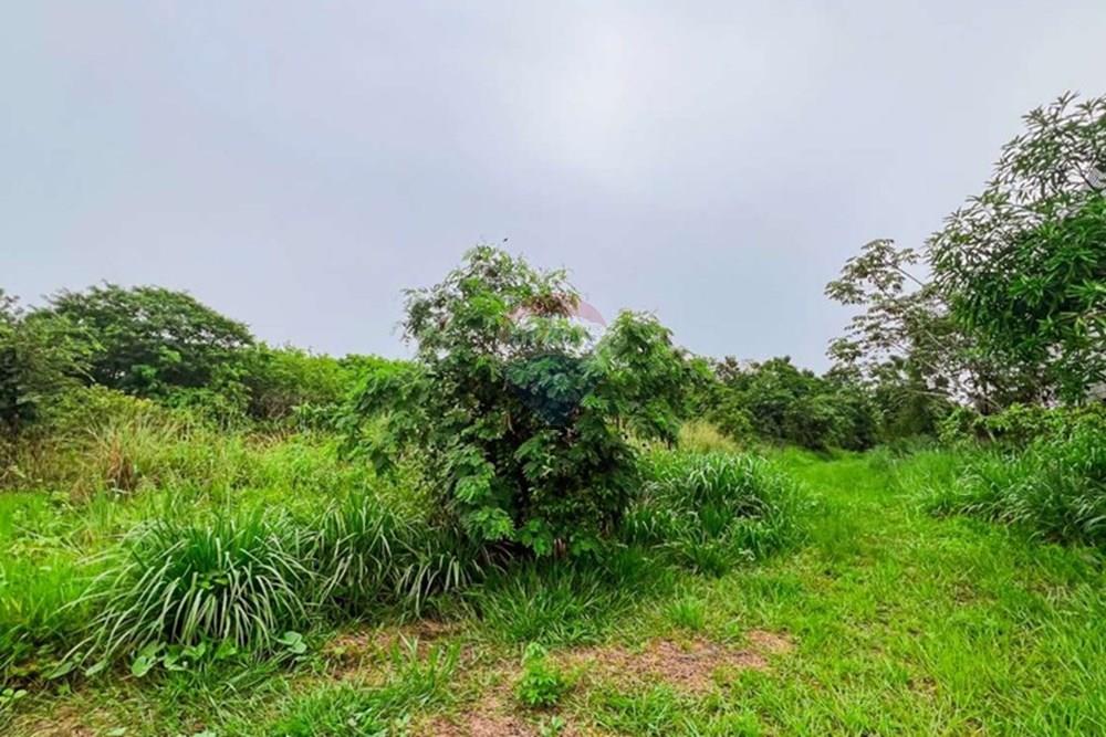 Terreno - Venda - Manaus , Amazonas - Captura de tela 2025-03-14 182713_pages-to-jpg-0011.jpg - 720661004-49