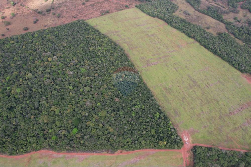 Chácara / Sítio / Fazenda - Venda - Serranópolis , Goiás - WhatsApp Image 2025-09-22 at 11.40.59 (1).jpeg - 722301005-27