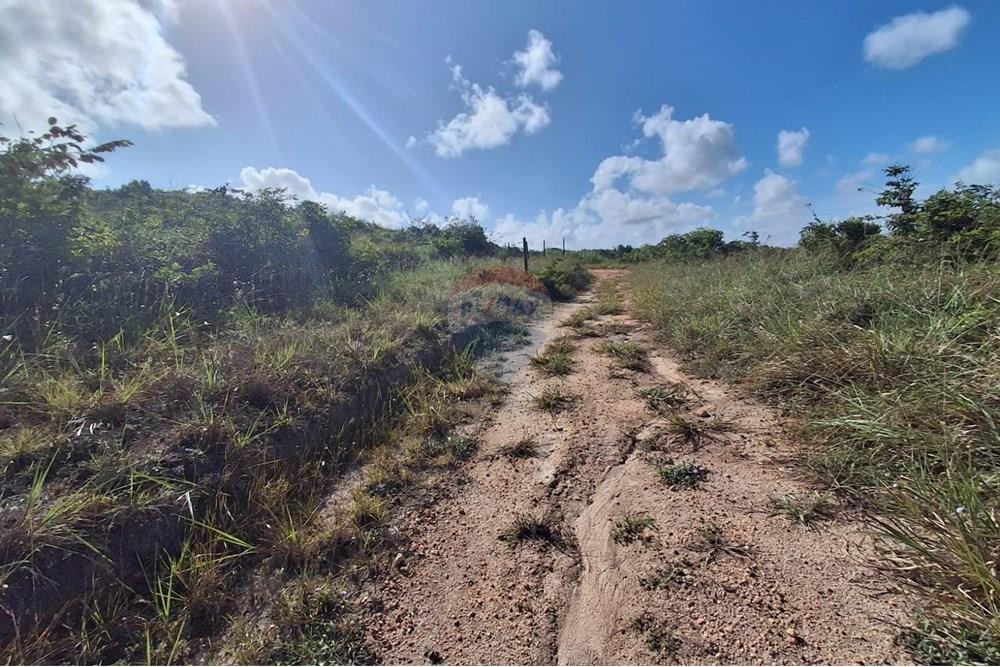Terreno - Venda - Pitimbu , Paraíba - 3779aebd-1d72-4a2d-94d8-70a590500510.jpg - 720871044-59