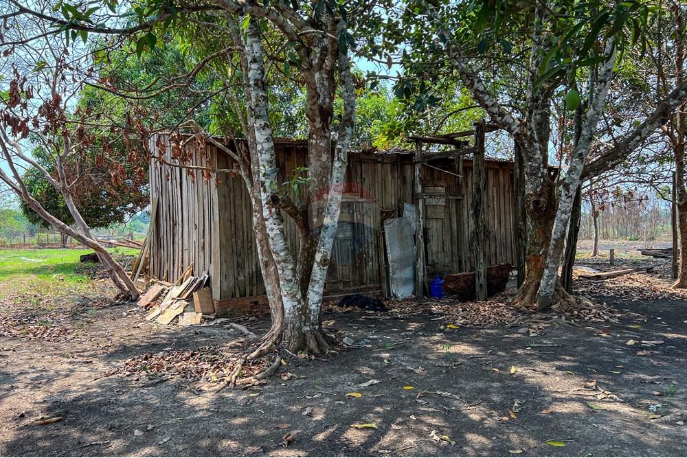 Chácara / Sítio / Fazenda - Venda - Candeias do Jamari , Rondônia - IMG_9104.jpg - 721551046-25
