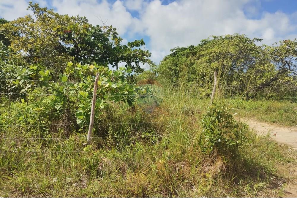 Terreno - Venda - Conde , Paraíba - f08d8549-b9d1-46b3-bffe-04d311ed35be.jpg - 720871056-11
