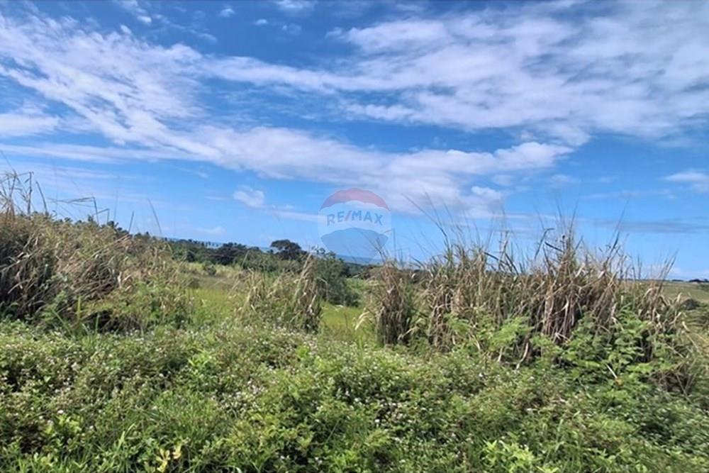 Terreno - Venda - Pitimbu , Paraíba - 4ddfad92-1782-4502-b7d5-1dd2aae245a4.jpeg - 720871044-90