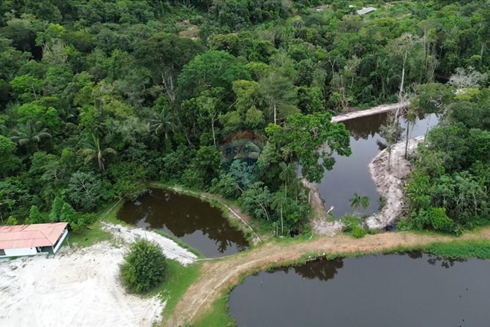 Chácara / Sítio / Fazenda - Venda - Novo Airão , Amazonas - Tanques de Peixes12.jpg - 720721055-29