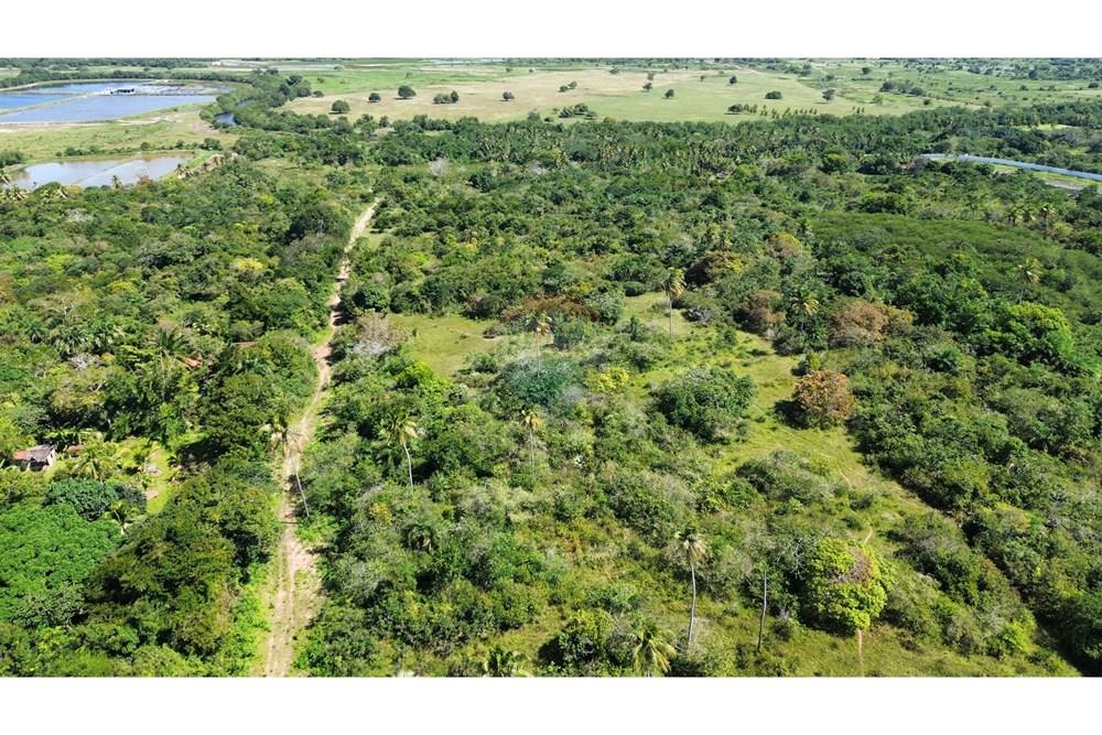 Terreno - Venda - São Gonçalo do Amarante , Rio Grande do Norte - WhatsApp Image 2025-09-09 at 11.00.07.jpeg - 720621066-81