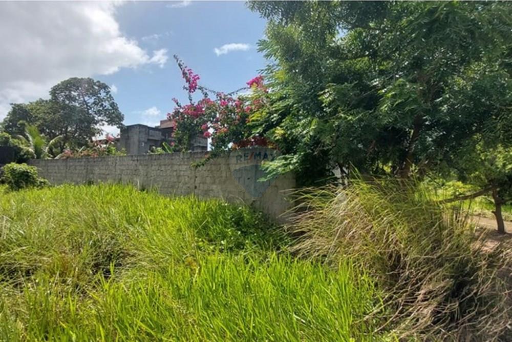 Terreno - Venda - Conde , Paraíba - IMG-20250619-WA0304.jpg - 720871031-86