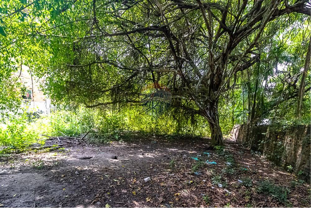 Terreno - Venda - Ananindeua , Pará - 17.jpg - 720921053-12