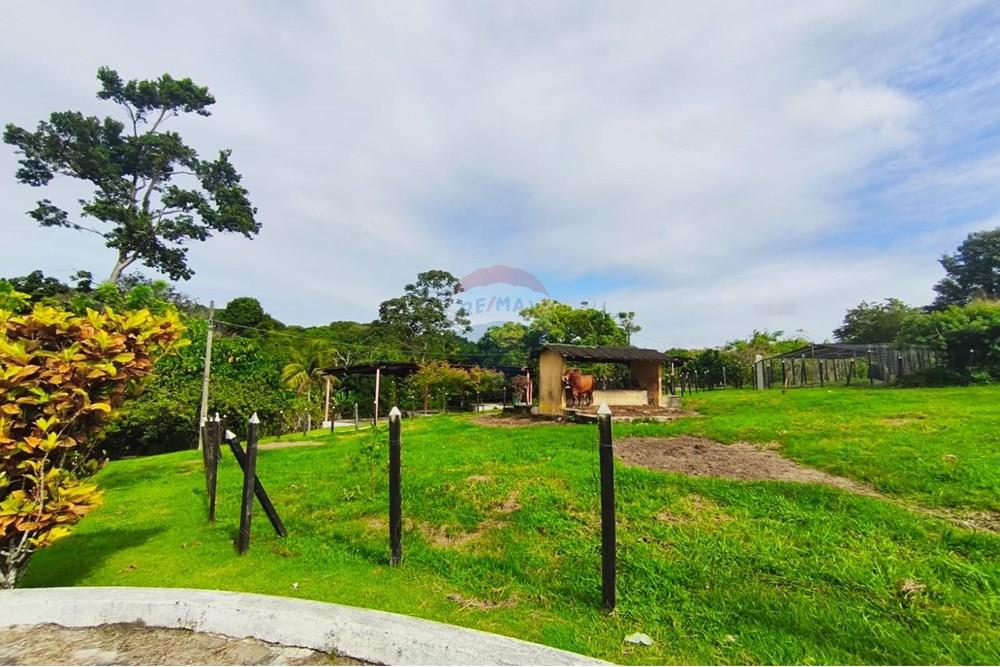 Terreno - Venda - Conde , Paraíba - fbac665c-e792-4a4e-9e5d-b9167c234265.jpg - 720871056-25