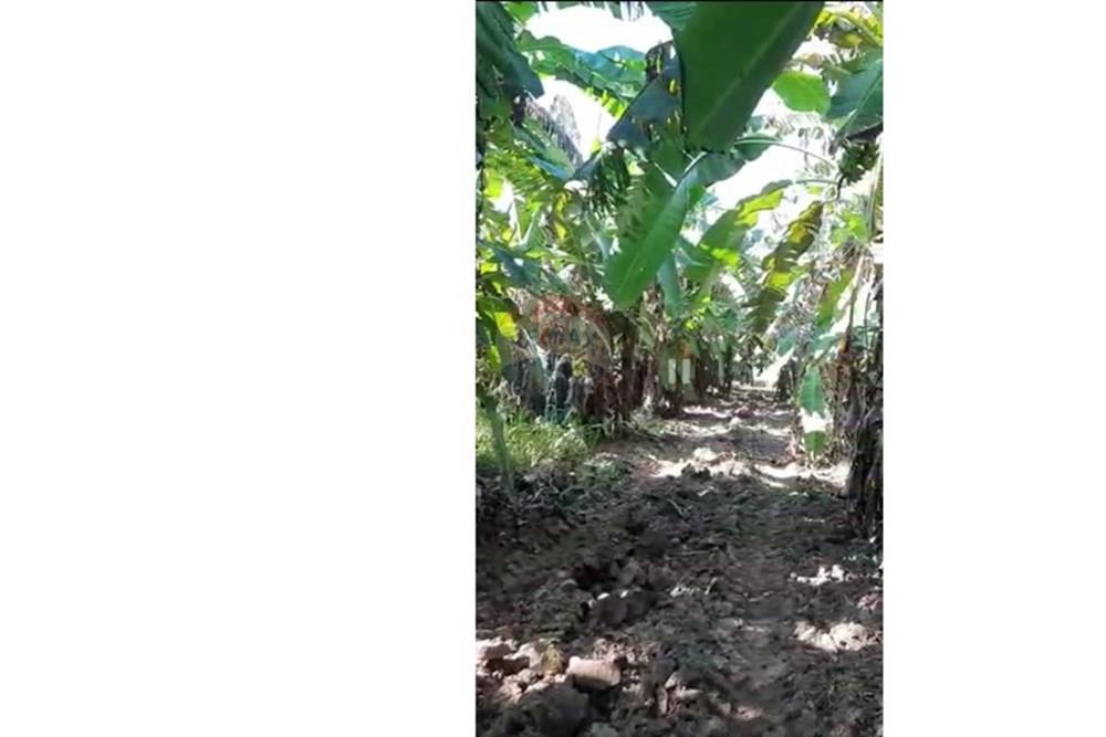 Fazenda - Venda - Guiratinga , Mato Grosso - IMG-20250730-WA0174.jpg - 721981068-4