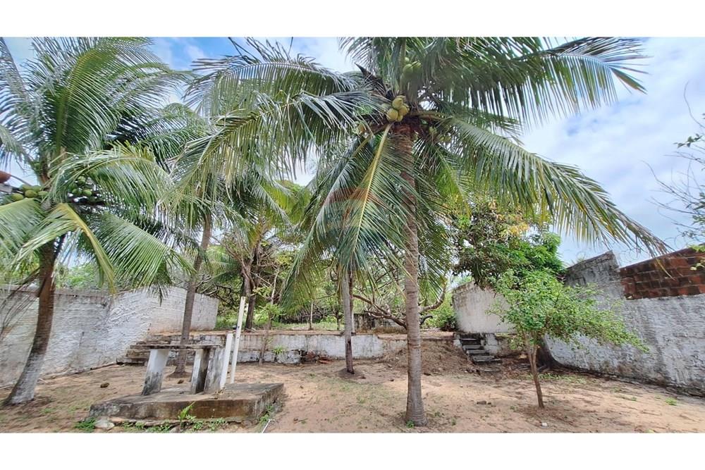 Casa de Condomínio - Venda - Nísia Floresta , Rio Grande do Norte - Imagem do WhatsApp de 2025-09-12 à(s) 13.30.19_0f0882f3.jpg - 720891106-47