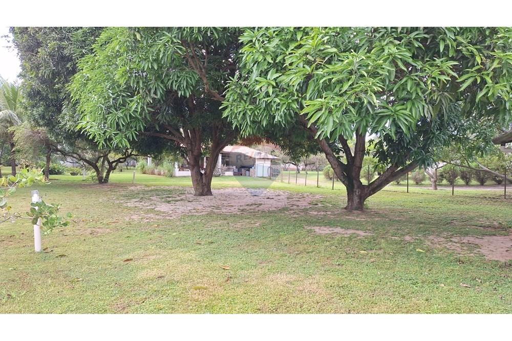 Chácara / Sítio / Fazenda - Venda - Nísia Floresta , Rio Grande do Norte - Imagem do WhatsApp de 2025-10-07 à(s) 09.23.44_d11152fc.jpg - 720891106-52