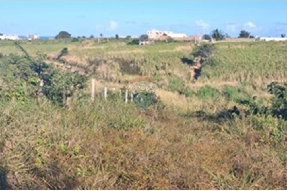 Terreno - Venda - Pitimbu , Paraíba - 23910278-e89e-41e9-a23b-7b8f15b83bc7 (1).jpeg - 720871044-83