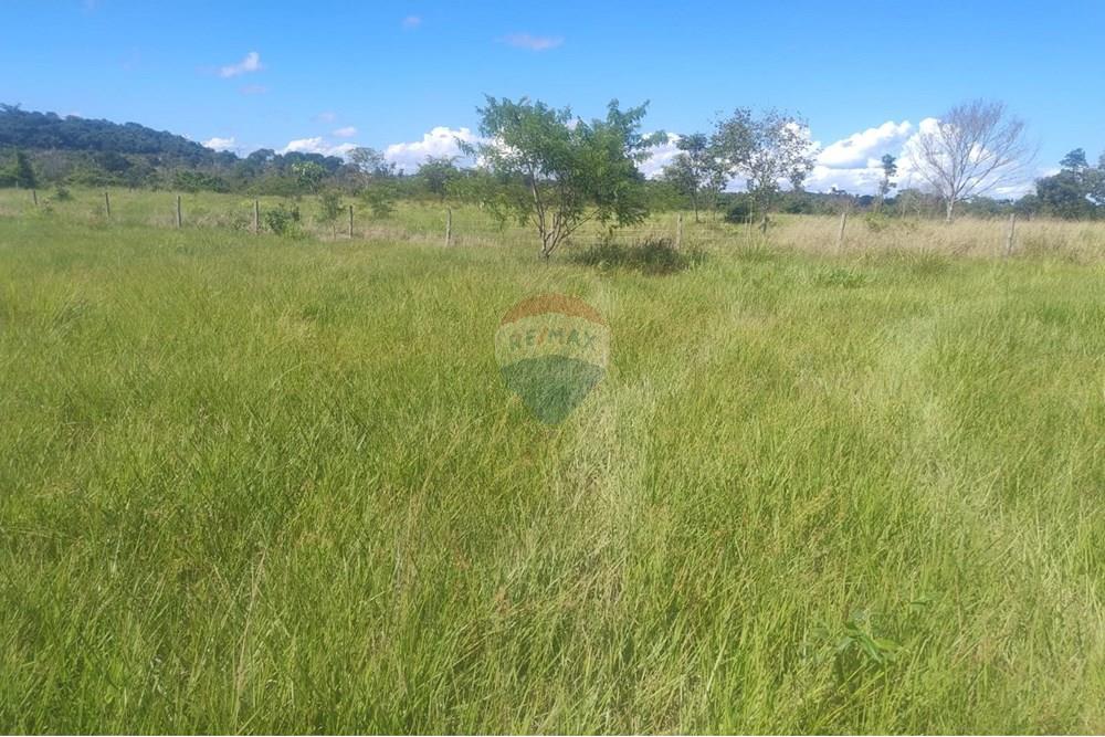 Chácara / Sítio / Fazenda - Venda - Confresa , Mato Grosso - IMG-20250926-WA0031.jpg - 720641046-10