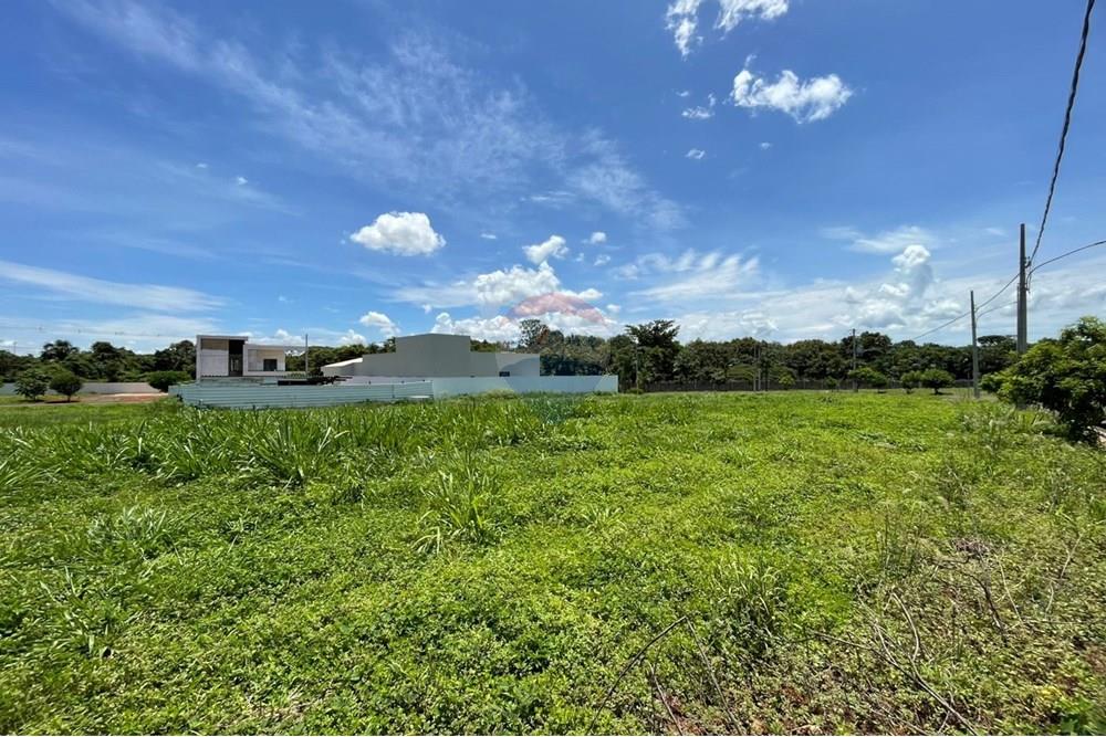 Terreno - Venda - Tangará da Serra , Mato Grosso - 0ae40529-e519-4c50-8c74-205998c65a0a.jpeg - 722231003-21