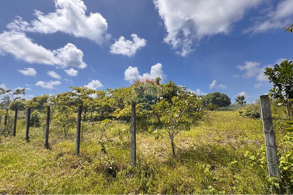 Terreno - Venda - Conde , Paraíba - 05.jpg - 720471011-115