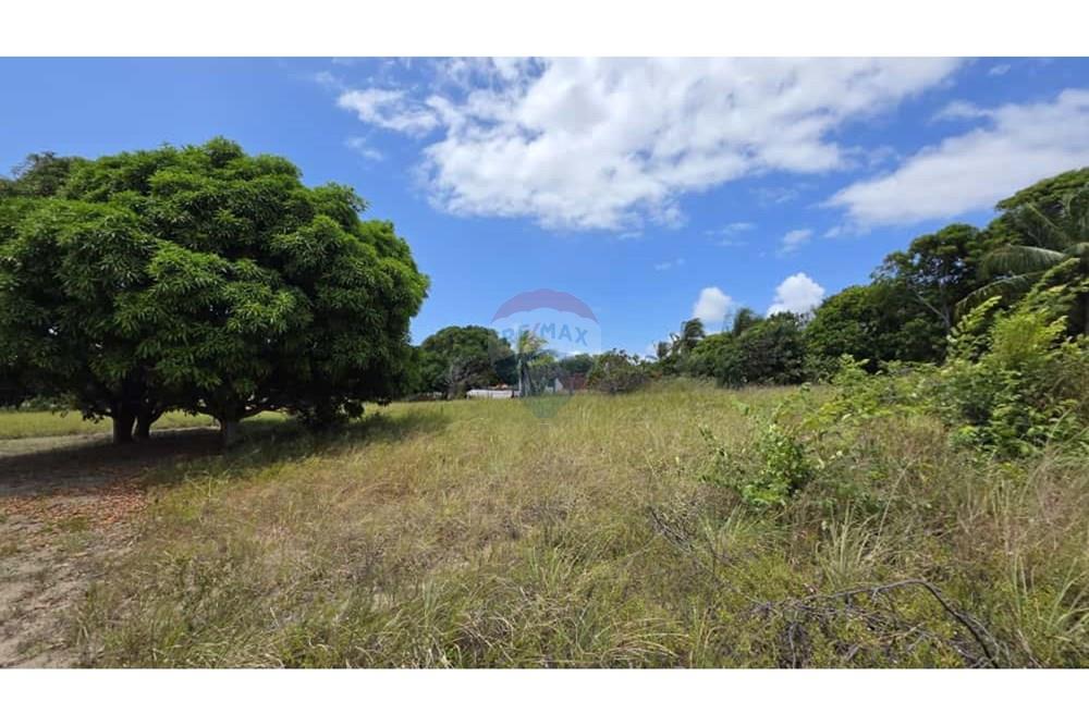 Terreno - Venda - Conde , Paraíba - 91e67d0a-7861-41e3-bbe1-4fbd6d439904.jpg - 720871061-11