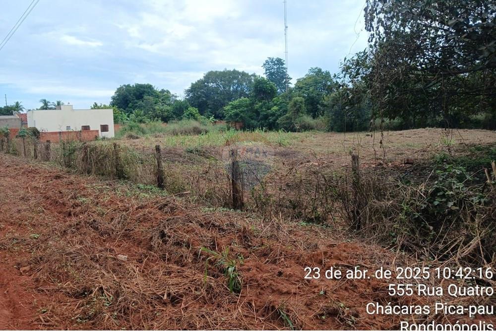 Chácara / Sítio / Fazenda - Venda - Rondonópolis , Mato Grosso - WhatsApp Image 2025-04-30 at 16.36.20.jpeg - 722261008-11