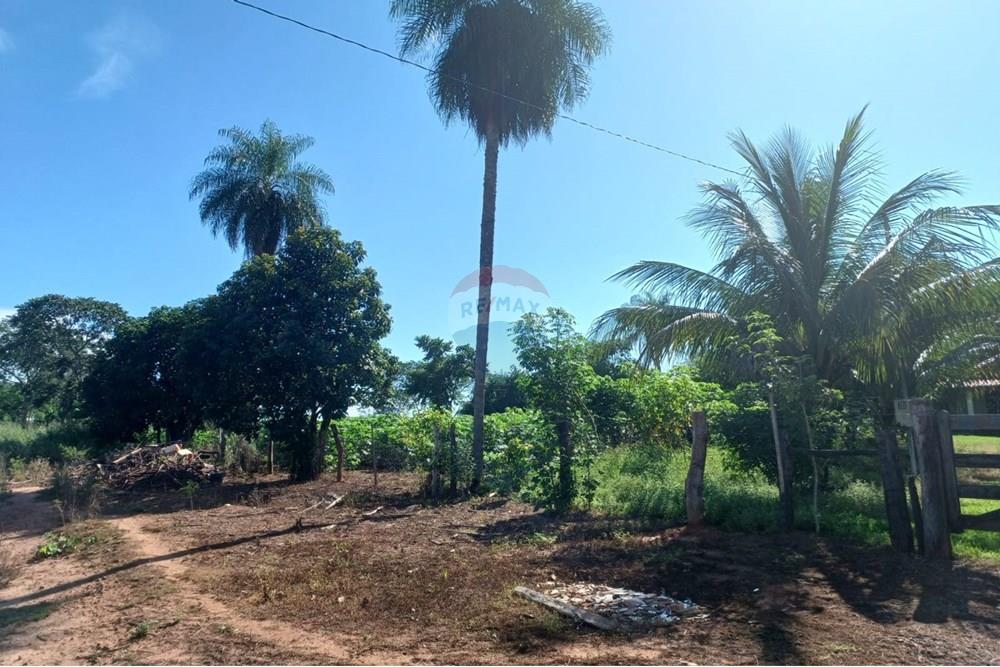 Chácara / Sítio / Fazenda - Venda - São José do Povo , Mato Grosso - WhatsApp Image 2025-04-03 at 17.01.45 (1).jpeg - 722261017-2