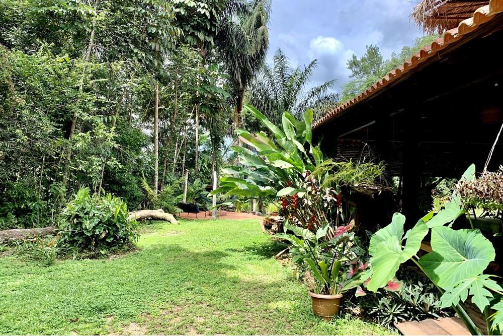 Casa de Campo - Venda - Santarém , Pará - IMG_3266.jpeg - 722151008-18