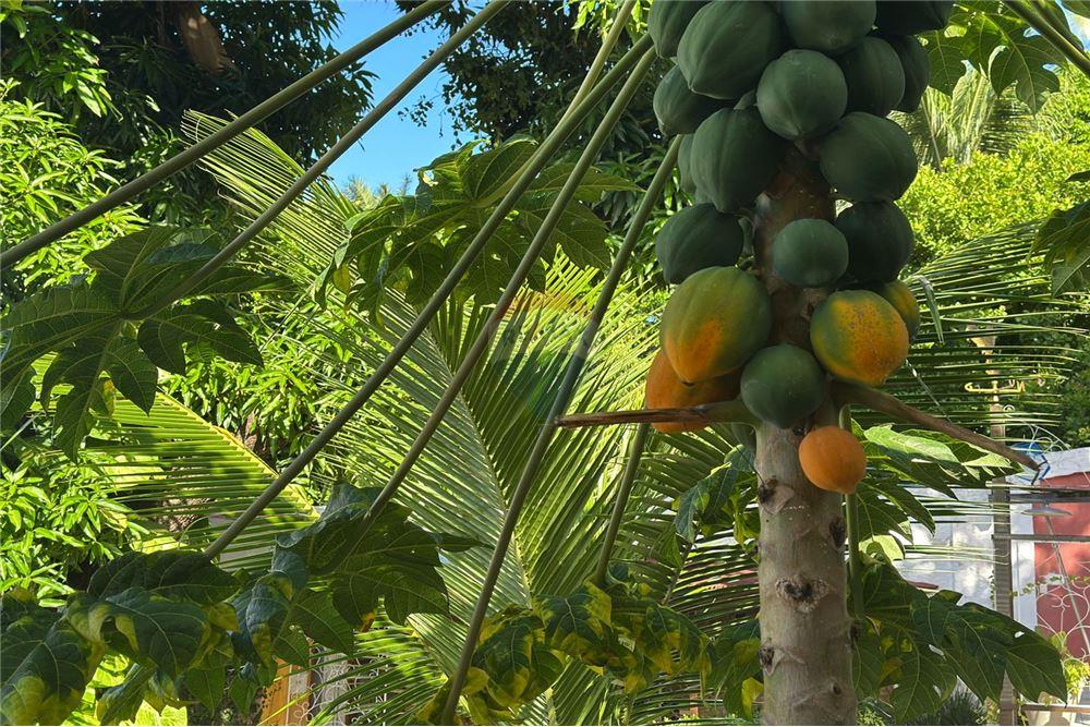 Hotel/ Pousada - Venda - Natal , Rio Grande do Norte - 63 - 720891068-60