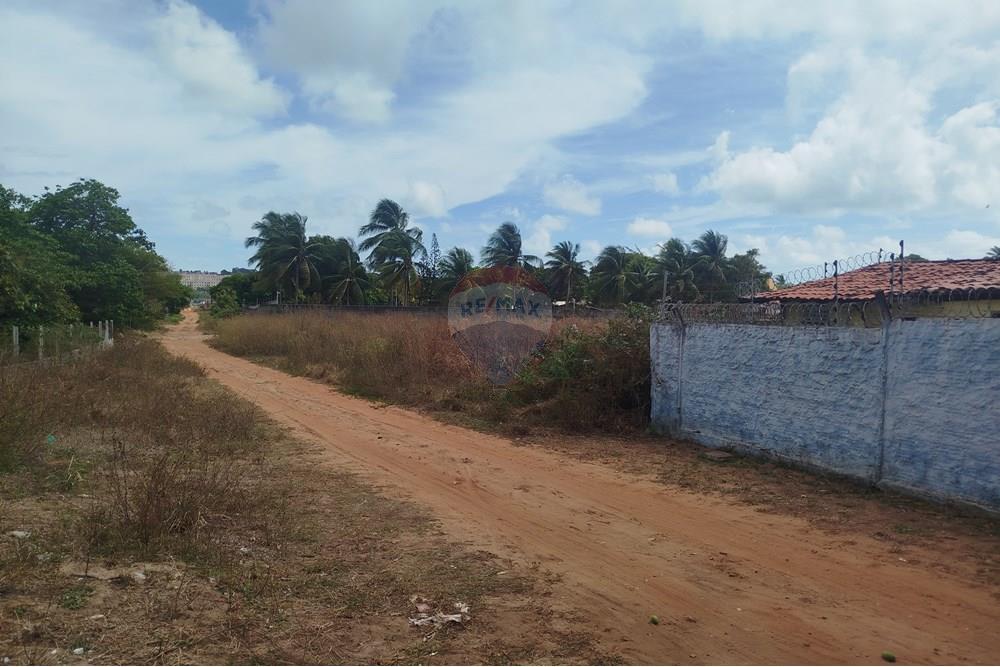 Terreno - Venda - Nísia Floresta , Rio Grande do Norte - WhatsApp Image 2024-11-22 at 21.32.47.jpeg - 720891013-74