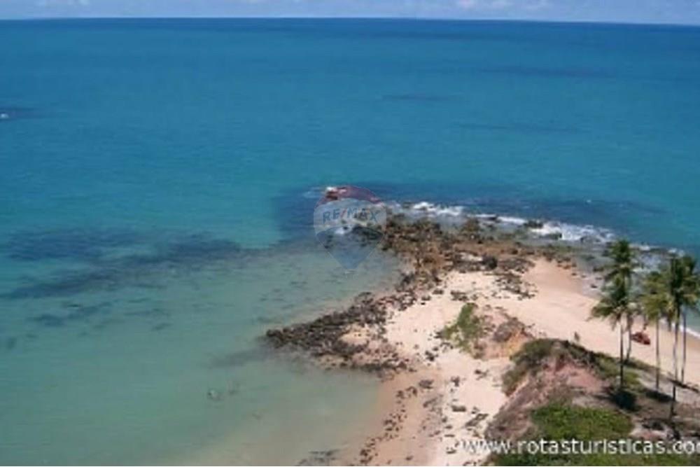 Terreno - Venda - Conde , Paraíba - WhatsApp Image 2025-03-30 at 13.06.29 (3).jpeg - 720871031-78