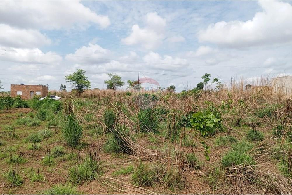 Terreno - Venda - Confresa , Mato Grosso - 75c06c45-7146-4854-aa9c-629e122abac5.jpg - 720641031-26